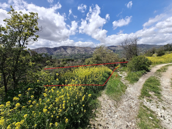 Limassol Property Field in Laniea-4.683 m2