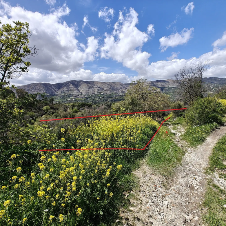 Limassol Property Field in Laniea-4.683 m2
