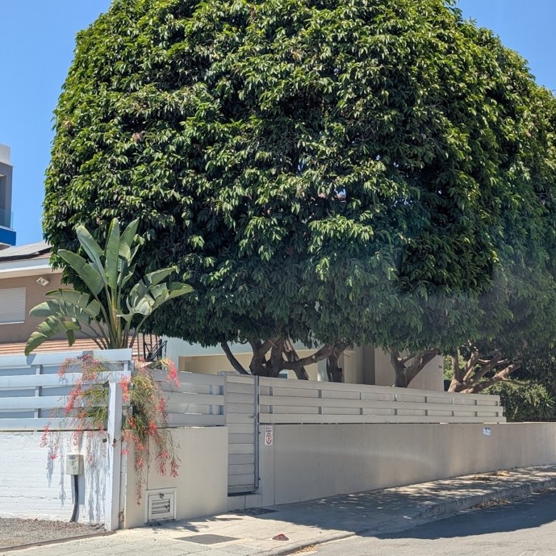 Limassol Property Beautiful Four Bedroom Villa