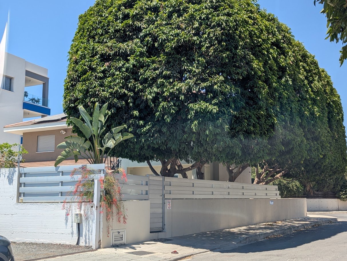 Limassol Property Beautiful Four Bedroom Villa