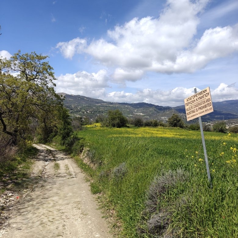Limassol Property Field in Laniea-1.004 m2