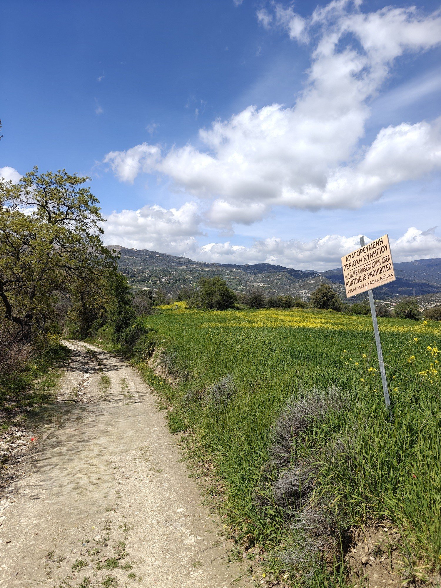 Limassol Property Field in Laniea-1.004 m2